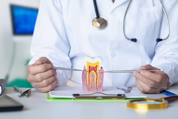 Best Emergency Dental Services for Seniors in Cypress Landing, NC